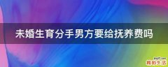 未婚生育分手男方要给抚养费吗
