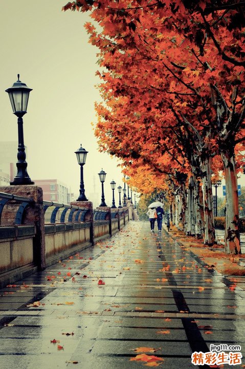 喝黄酒的十大健康理由