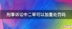 刑事诉讼中二审可以加重处罚吗