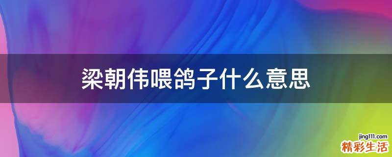 梁朝伟喂鸽子什么意思
