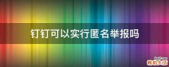 钉钉可以实行匿名举报吗