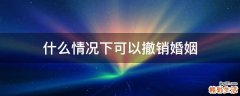 什么情况下可以撤销婚姻