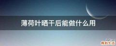 薄荷叶晒干后能做什么用
