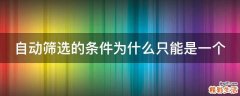 自动筛选的条件为什么只能是一个