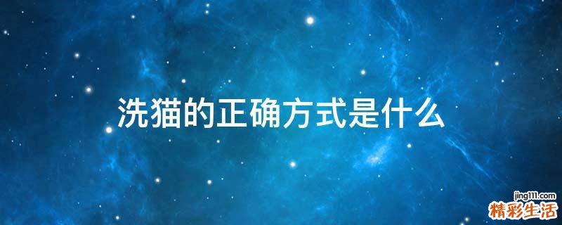 洗猫的正确方式是什么