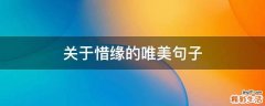 关于惜缘的唯美句子