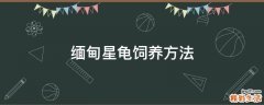 缅甸星龟饲养方法