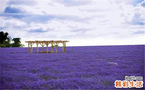 增强意志力的妙招__妙招有什么