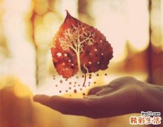 3 蜈蚣萍