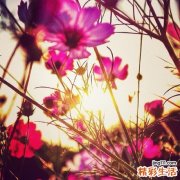 如何从两腿鉴别处女之身