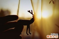 吃什么加快产程_加快产程的办法有哪些