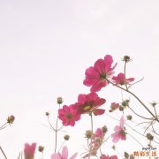 中医治荨麻疹偏方大全