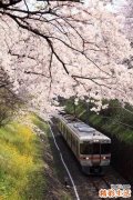 用日记记录悲伤可改善心情