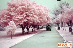 “白领”女士莫误生育时机
