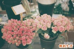 3 蜂蜜的18种养生保健吃法