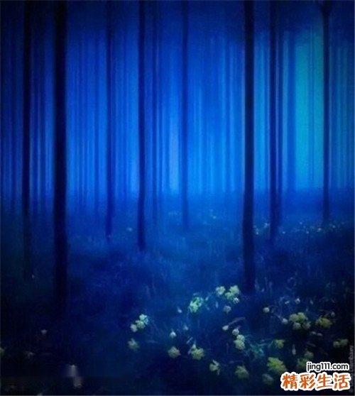 2 石菖蒲的功效与作用详解