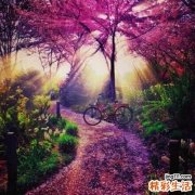 蜂蜜的18种养生保健吃法