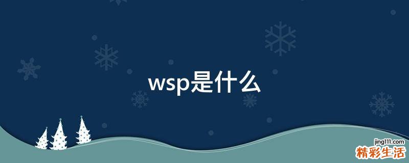 wsp是什么