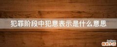 犯罪阶段中犯意表示是什么意思