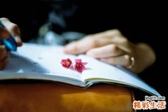 中药本草厚朴 消滞祛湿防癌