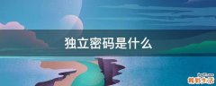 独立密码是什么