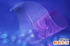 溃疡性结肠炎食疗方法