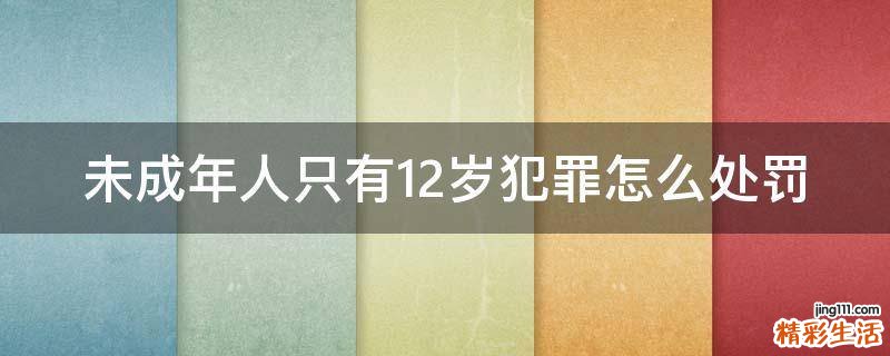 未成年人只有12歲犯罪怎么處罰