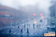 前胡的功效与作用