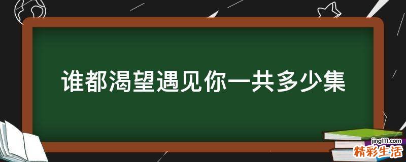 谁都渴望遇见你一共多少集