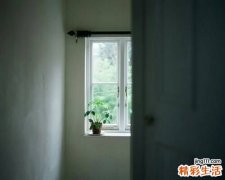 荔枝核的功效与作用