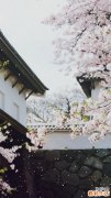 布洛芬颗粒说明书