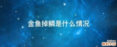金鱼掉鳞是什么情况