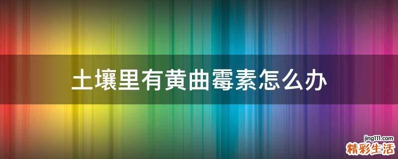 土壤里有黄曲霉素怎么办