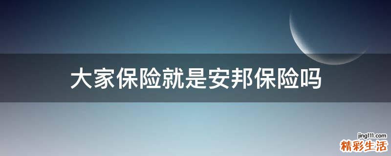大家保险就是安邦保险吗