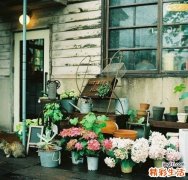 玉米油的营养价值