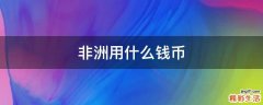 非洲用什么钱币