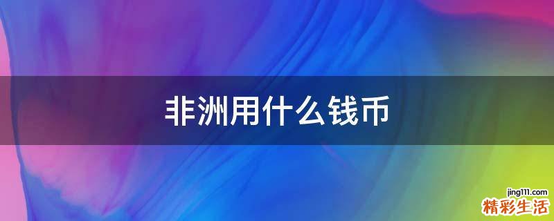 非洲用什么钱币
