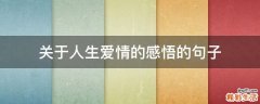 关于人生爱情的感悟的句子