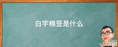 白宇棉签是什么