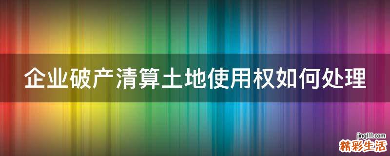 企业破产清算土地使用权如何处理