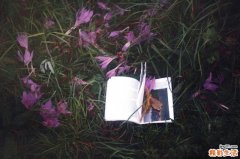 胃病吃什么好，胃病不能吃什么