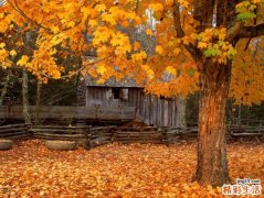 生产前要吃高丽参吗