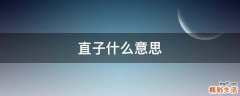 直子什么意思