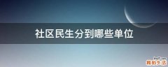 社區(qū)民生分到哪些單位
