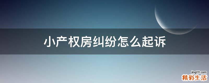小产权房纠纷怎么起诉