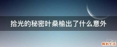 拾光的秘密叶桑榆出了什么意外