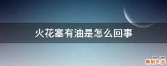 火花塞有油是怎么回事
