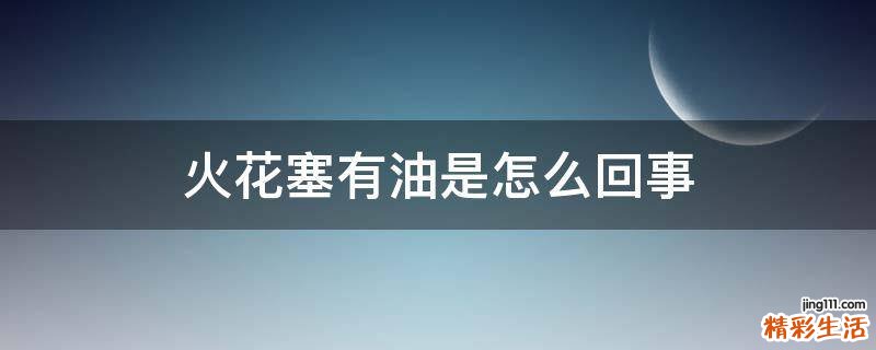 火花塞有油是怎么回事