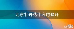 北京牡丹花什么時候開