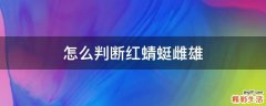 怎么判断红蜻蜓雌雄